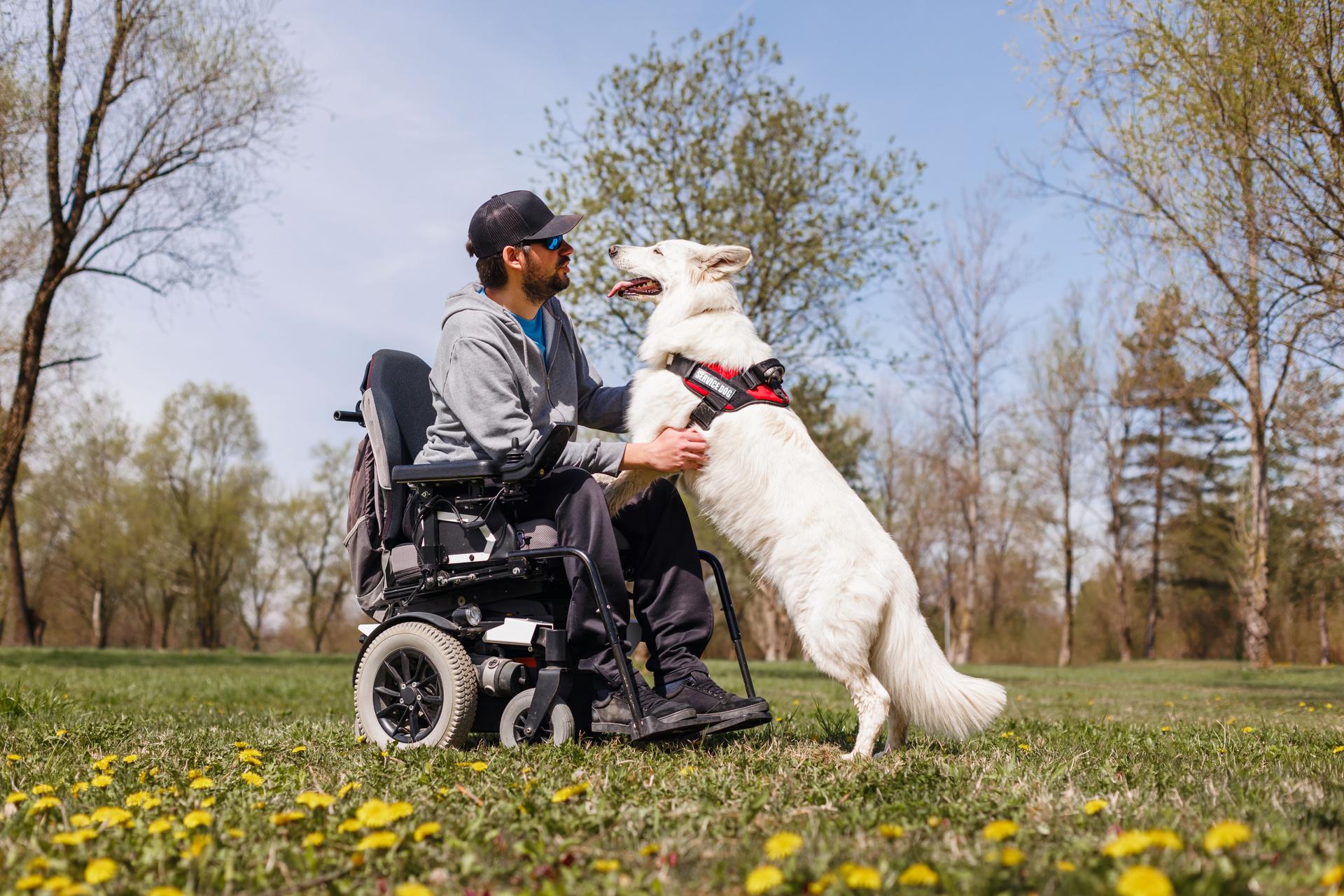 Man with disability with his service dog in park